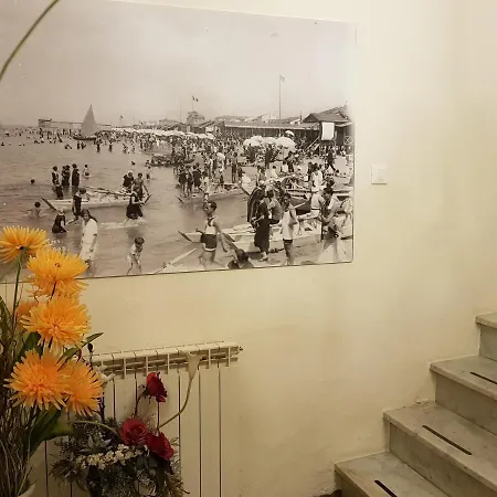Apartments B&B Viareggio Apartment