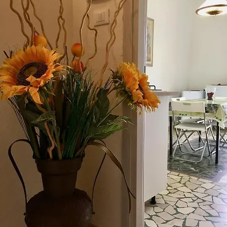 Apartments B&B Viareggio *