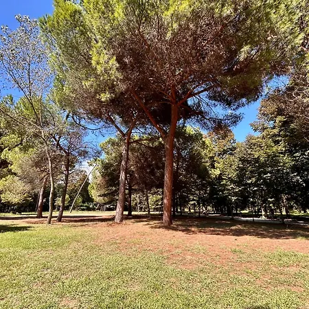 Apartments Viareggio