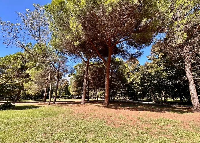 Apartments Viareggio